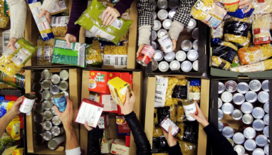 food sorting 2103 382x218